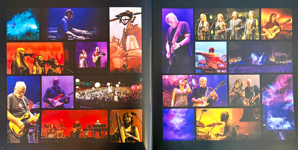 David Gilmour - The Luck And Strange Concerts (198029270112)