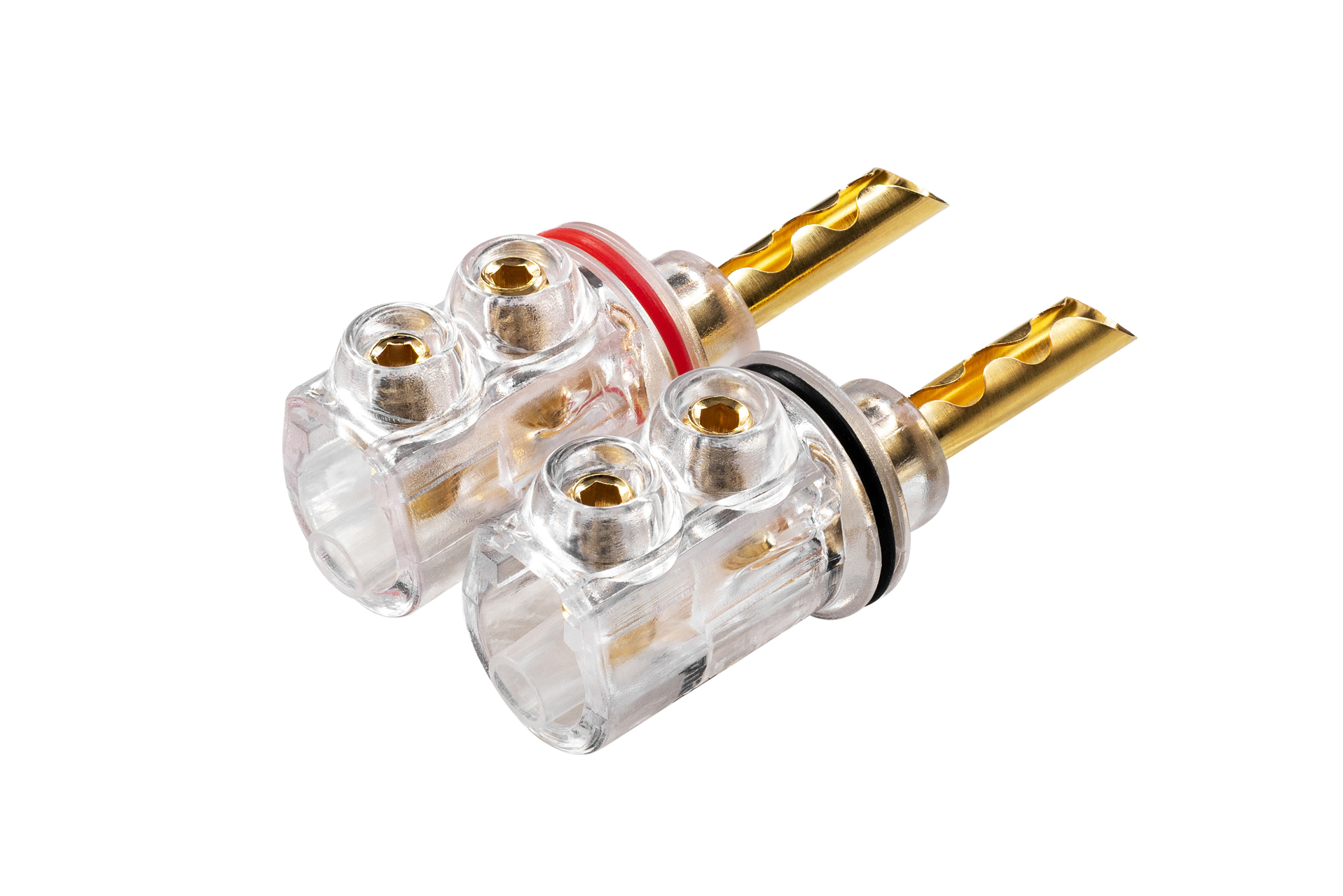 Phaze Audio Speaker Plug tp\black