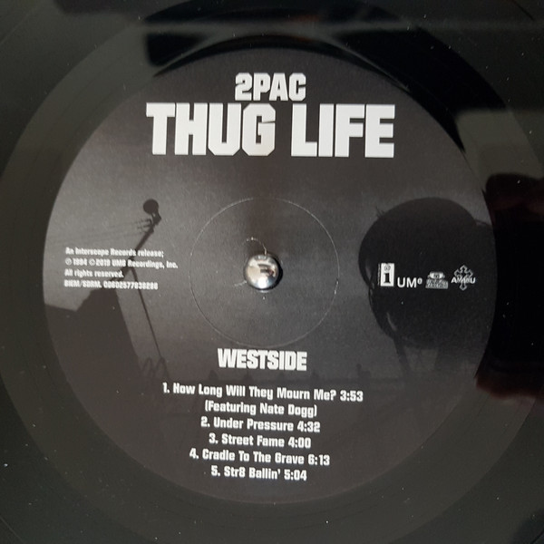 Thug Life - Volume 1 [25th Anniversary Edition] (00602577838286)