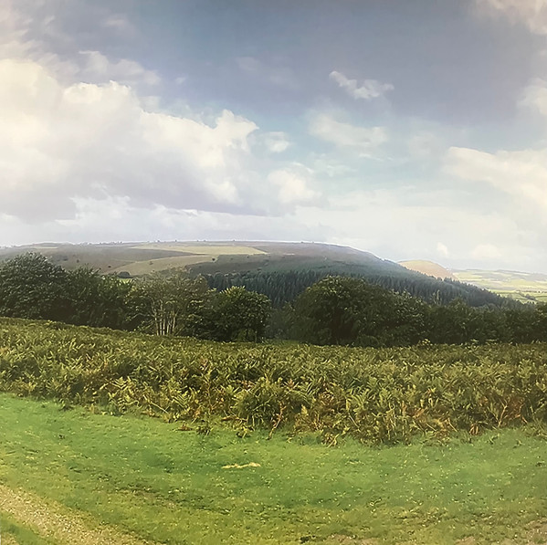 Mike Oldfield - Hergest Ridge [50th Anniversary Edition] (602465758825)