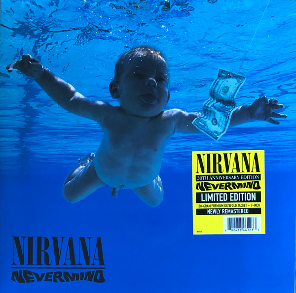 Nirvana - Nevermind [30th Anniversary Edition] (3846123)