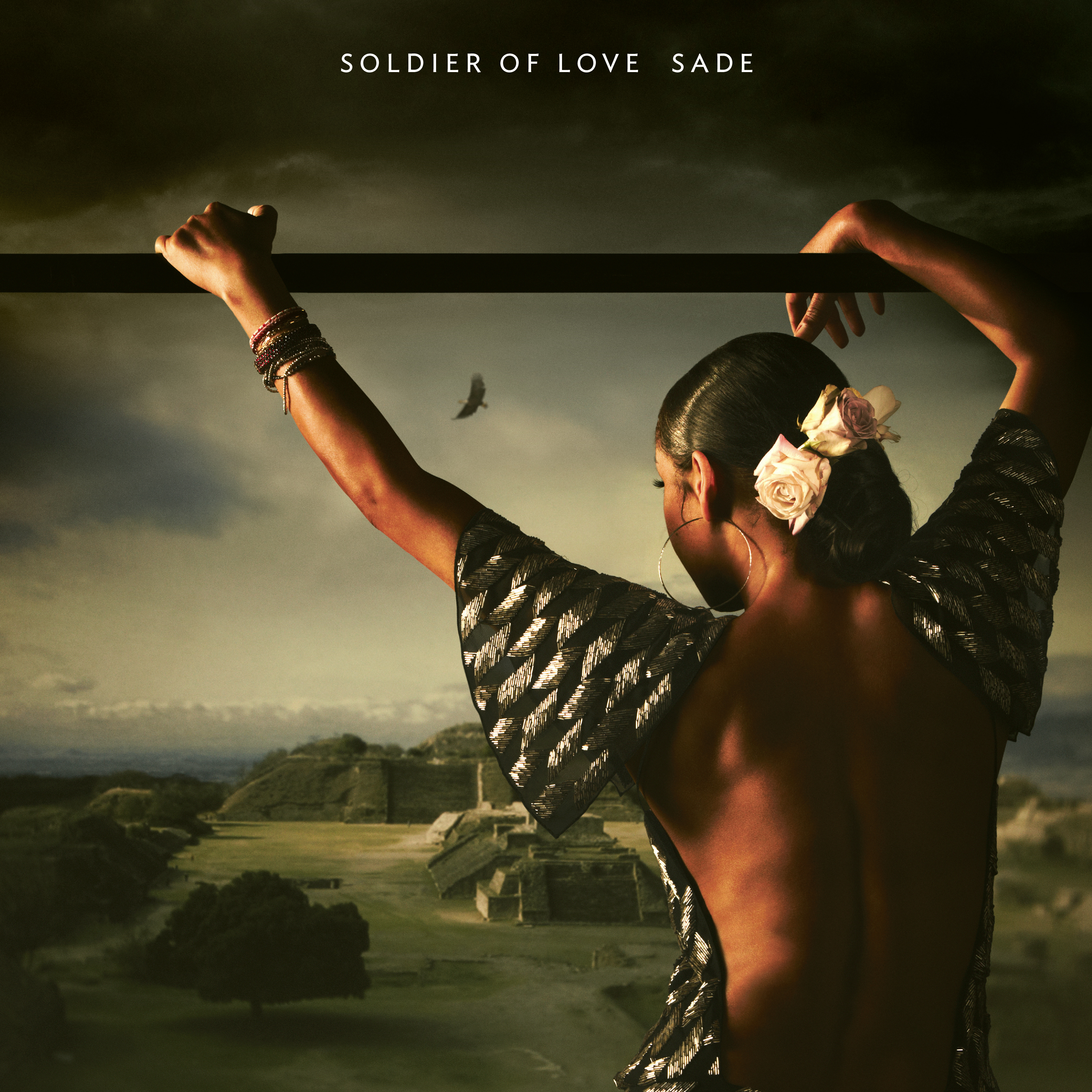 Sade - Soldier Of Love (196587848514)