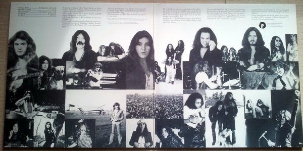 Deep Purple - Come Taste The Band (TPSD 7515)