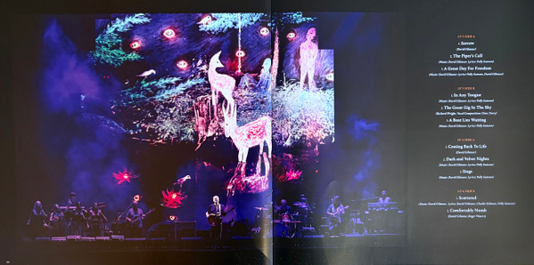 David Gilmour - The Luck And Strange Concerts (198029270112)