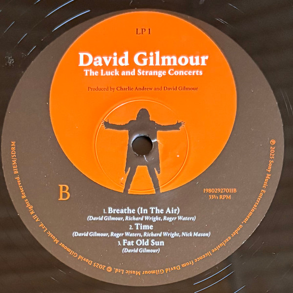 David Gilmour - The Luck And Strange Concerts (198029270112)