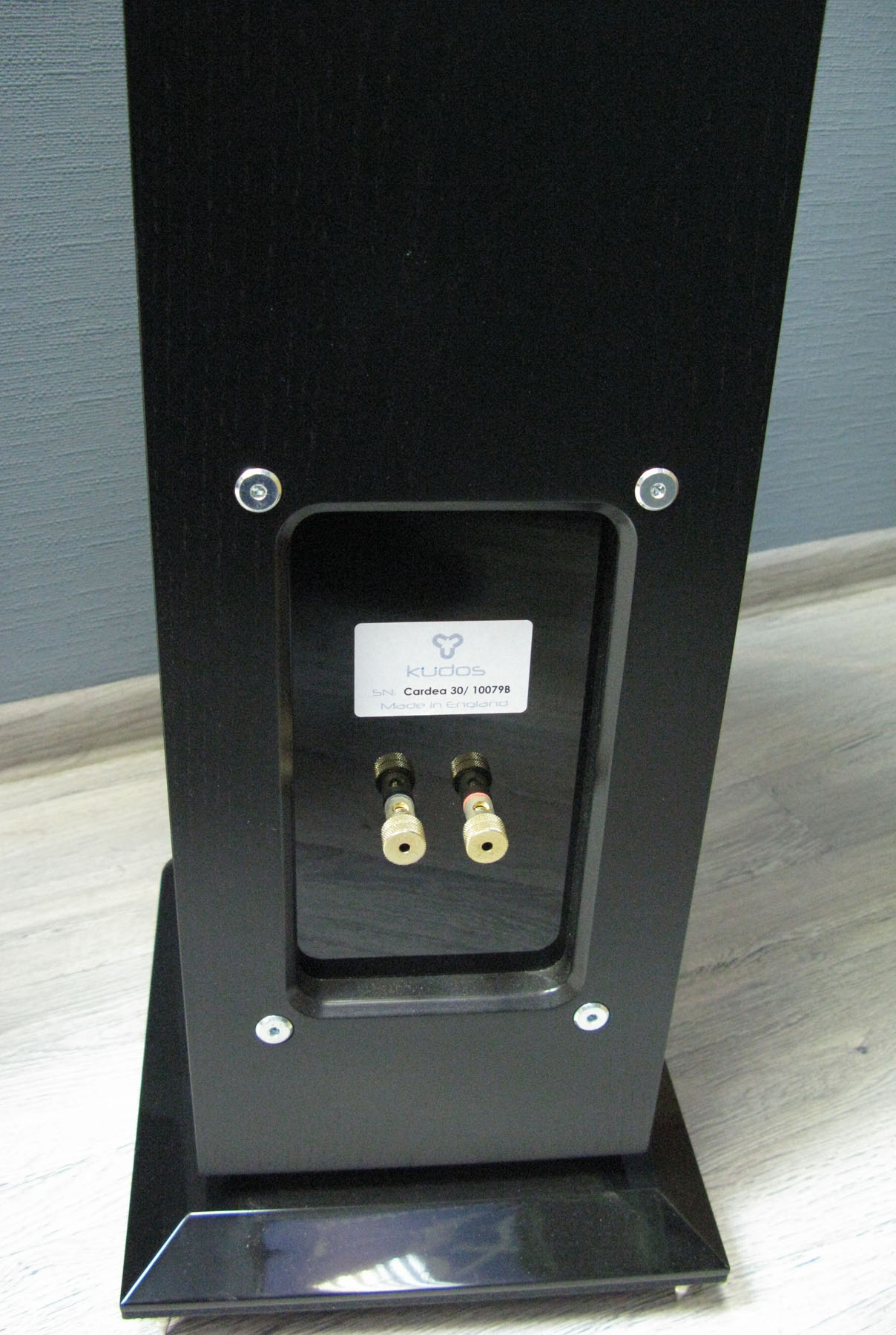 Kudos C30 black ДЕМО