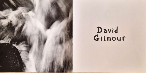 David Gilmour - Luck And Strange [Black Vinyl] (198028046114)