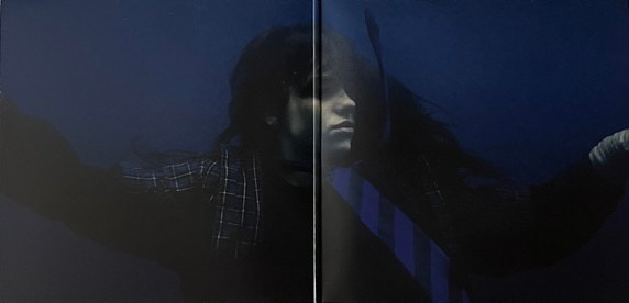 Billie Eilish - Hit Me Hard And Soft [Black Vinyl] (602465223651)