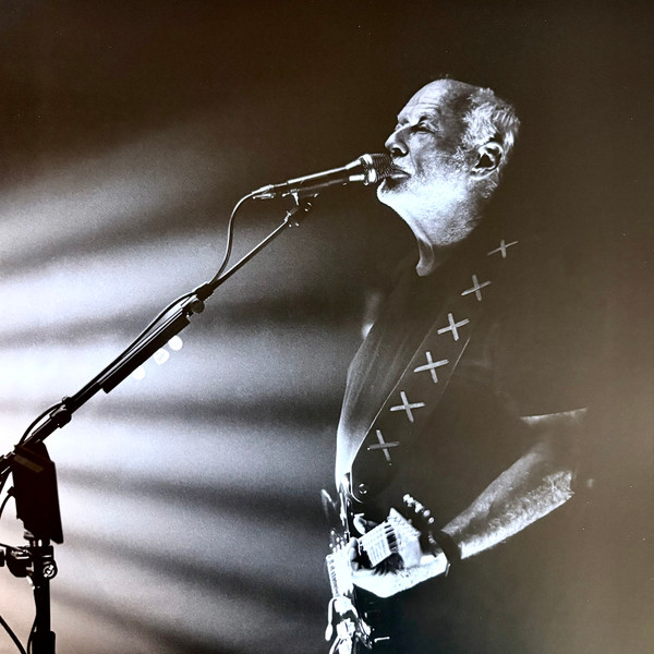 David Gilmour - The Luck And Strange Concerts (198029270112)