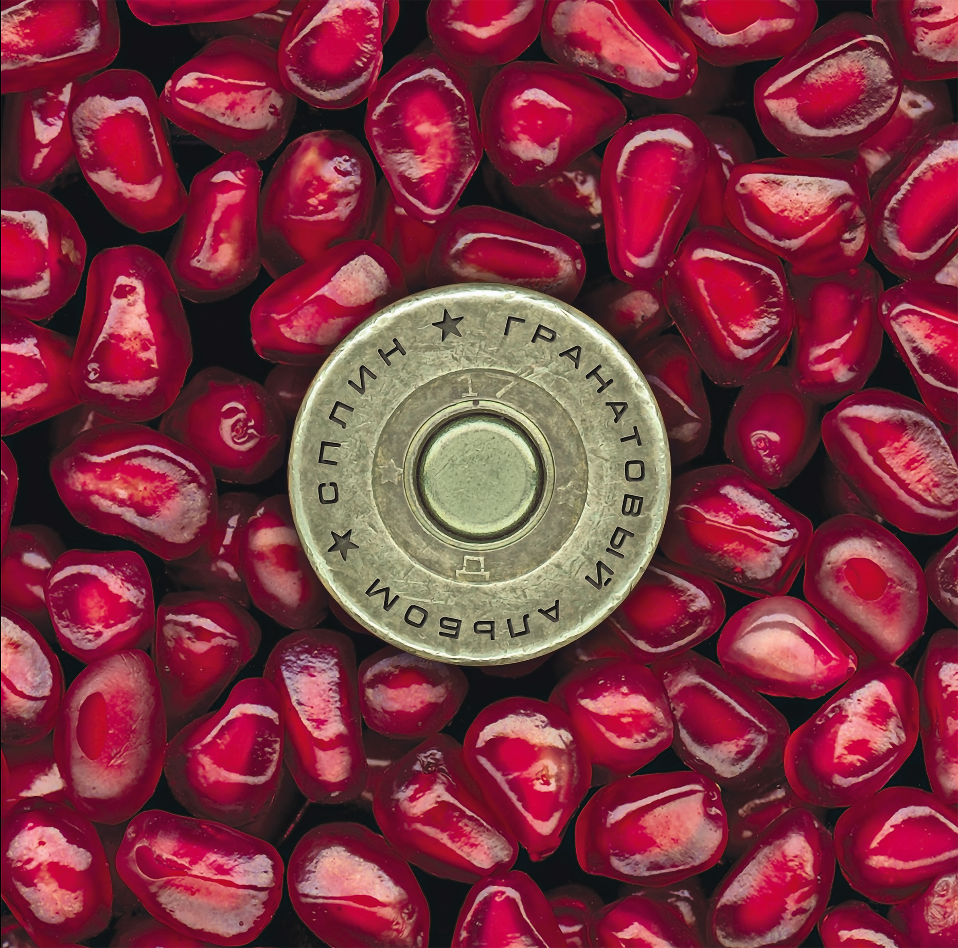 Сплин - Гранатовый Альбом [Marbled Red+Black Vinyl] (4601620108877)