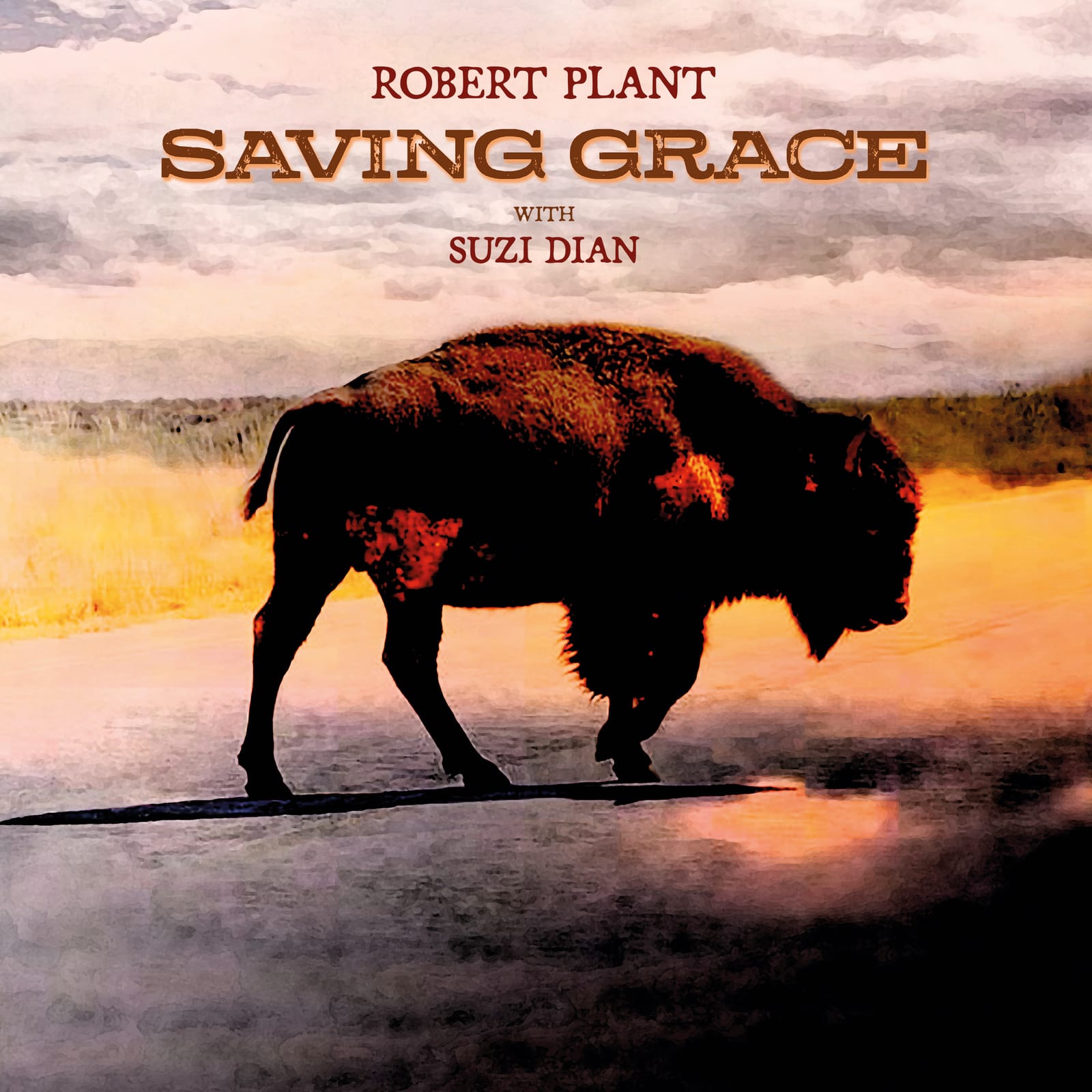 Robert Plant with Suzi Dian - Saving Grace [Black Vinyl] (075597895704)