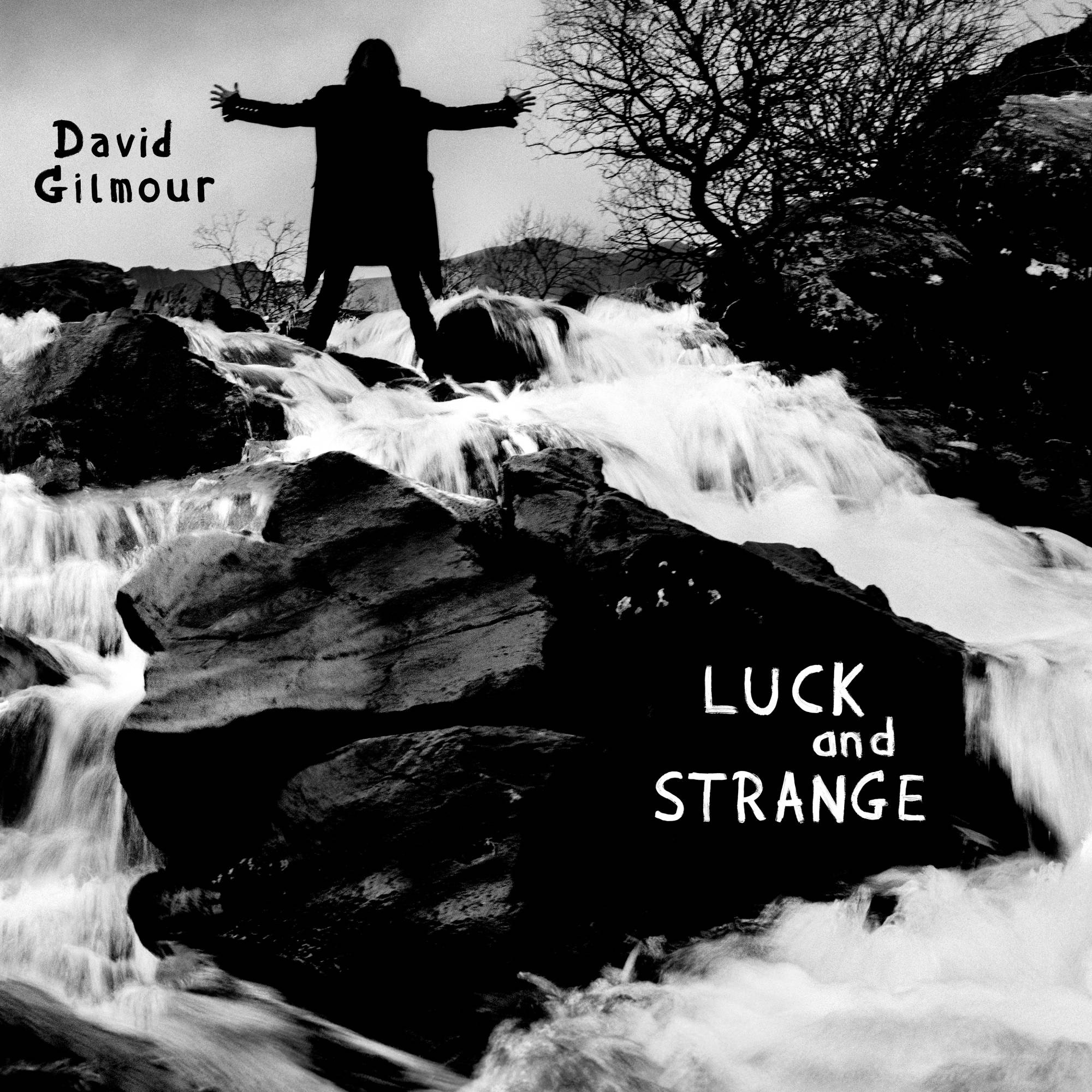 David Gilmour - Luck And Strange [Black Vinyl] (198028046114)