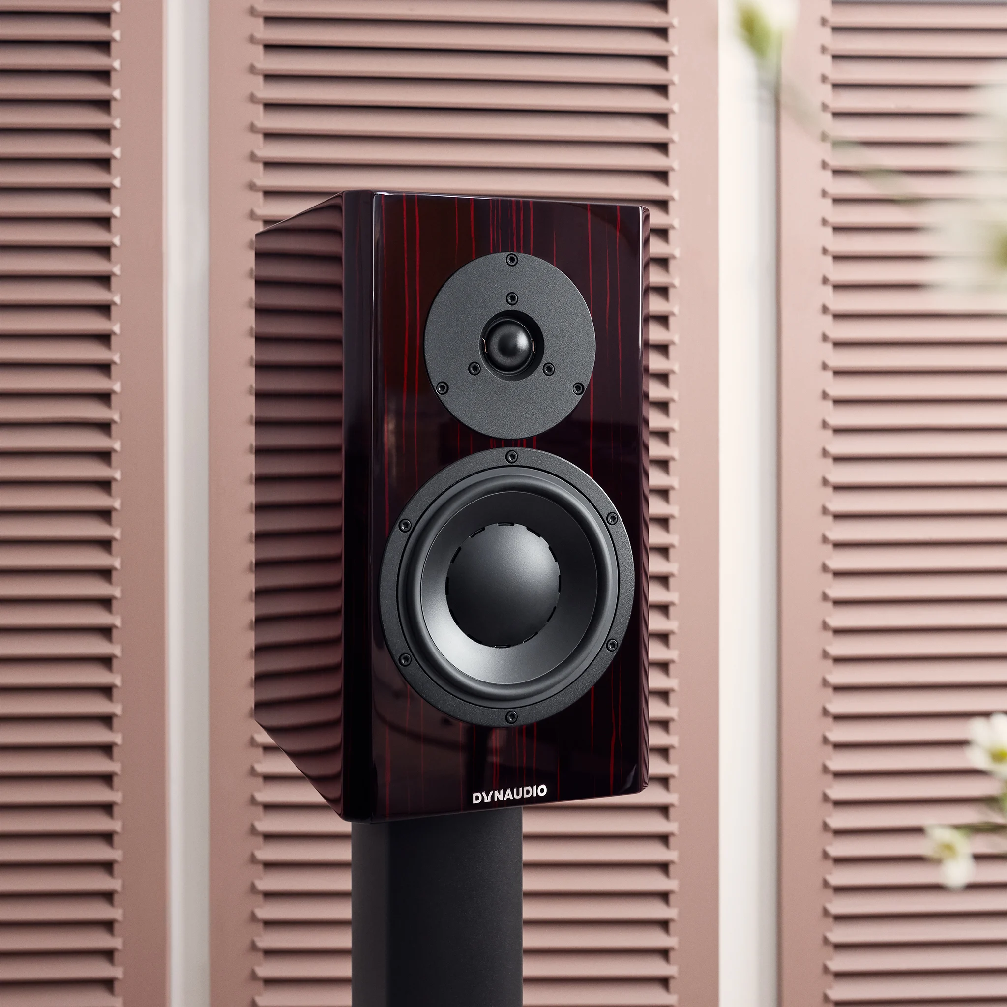 Dynaudio Special Forty black vine high gloss