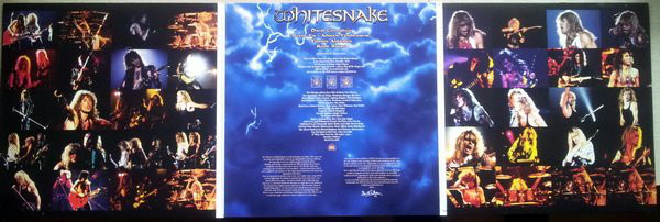 whitesnake live at donington 1990