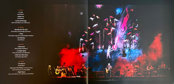 David Gilmour - The Luck And Strange Concerts (198029270112)