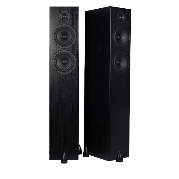 Totem Acoustic Bison Twin Tower black ash