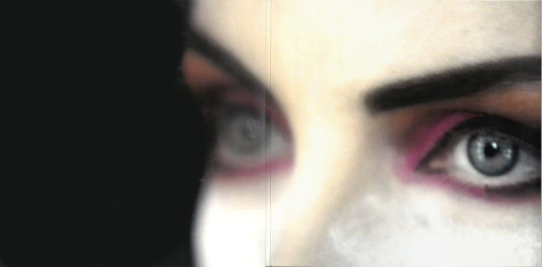 Annie Lennox - The Annie Lennox Collection (198029462913)