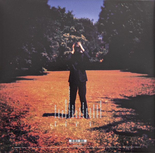 Steven Wilson - Insurgentes (802644834214)
