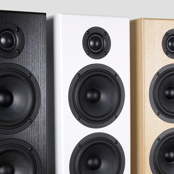 Totem Acoustic Bison Twin Tower speaker